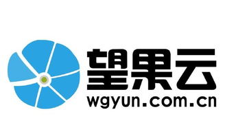 售前咨詢待遇解析 聚焦中小企業(yè)咨詢服務(wù)與看準網(wǎng)平臺